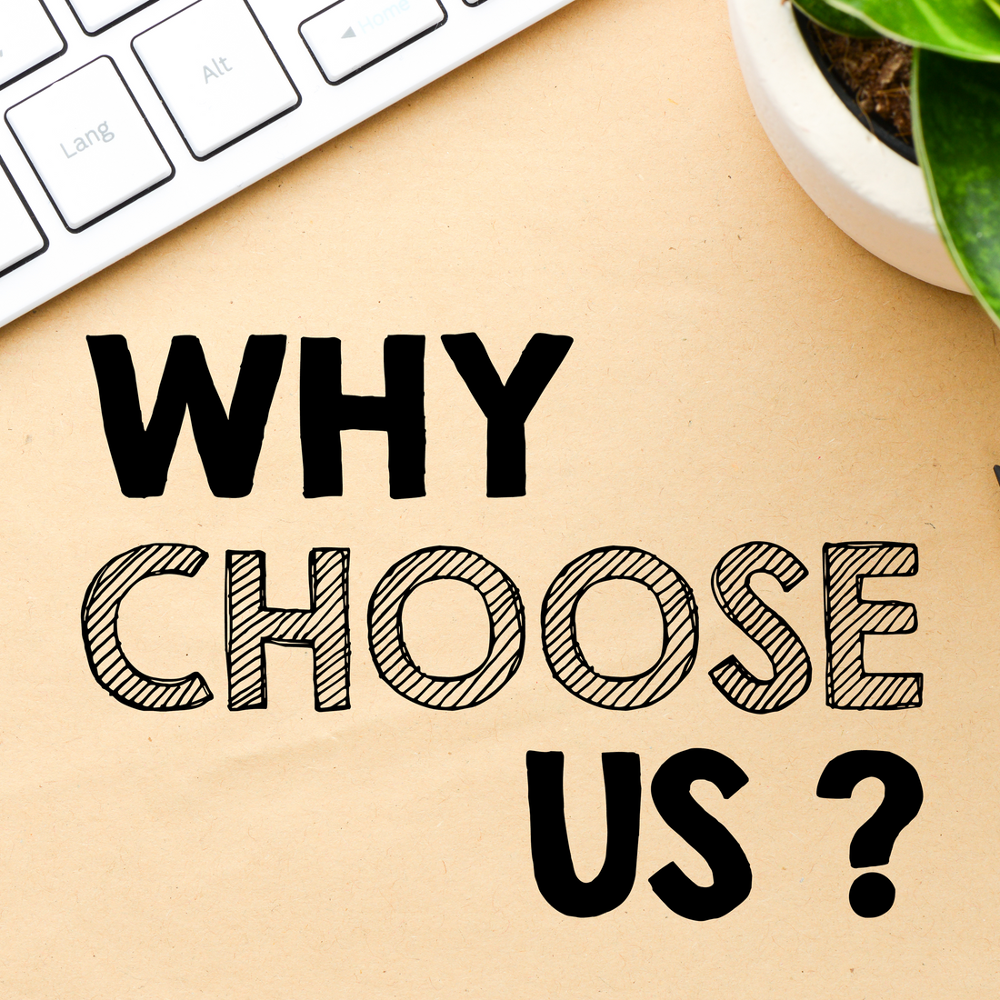 Why Choose Us?